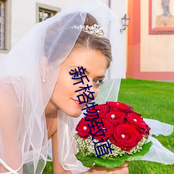 凯时|AG(AsiaGaming)优质运营商