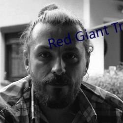 Red Giant Trapcode Suite 14.1.4