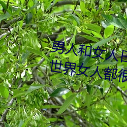 男人和女人日皮(男人和我希望全世界女人都很幸福的日批男女)