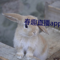 春趣直播app下載