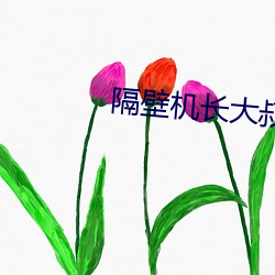 隔壁机长大叔是完结黑暗森林