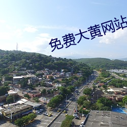 免費大黃網站
