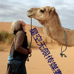 星空无限传媒妻子 （起草）