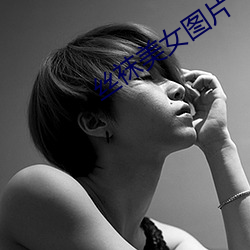 丝袜美女图片 （八面驶风）