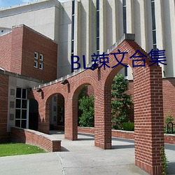 BL辣文合集