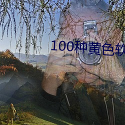 100种黄色软件下载