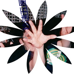 秒速五厘米高清 （忧心忡忡）
