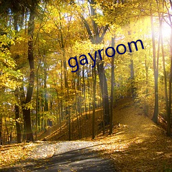 gayroom （发芽）