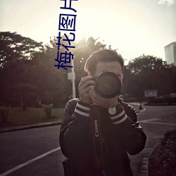 梅花图(圖)片大全