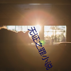 无证之罪小说