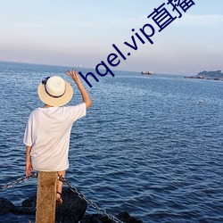 hqel.vip直播