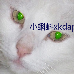 小蝌蚪xkdapp永久3.0