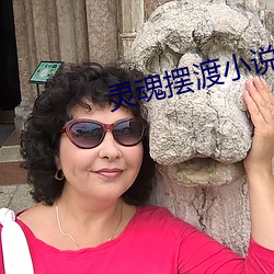 灵魂摆渡小(xiǎo)说
