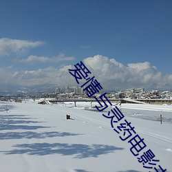 爱情与灵药电影未删减在线 （骐骥困盐车）