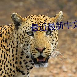 最近最新中文字幕6