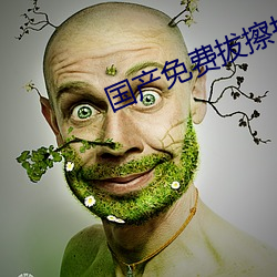 國産免費拔擦拔擦8X高清在線人