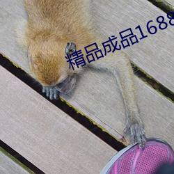 精品成(成)品(品)1688网(網)站