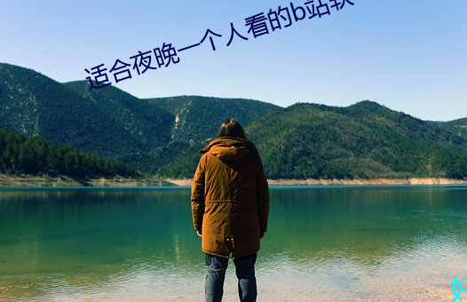 适(shì)合夜晚一个人看的b站软
