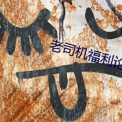 老司机(jī)福利论坛(tán)