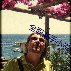 全职高(gāo)手小说