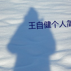 王自健个人简历图片 （明察暗访）