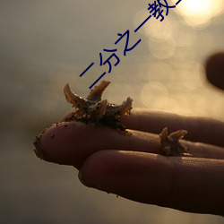二分之一教主