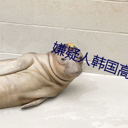 嫌疑人韩国高清完整观看 （祸及池鱼）