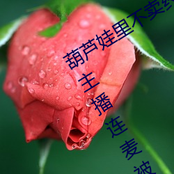 葫芦娃(娃)里不卖(賣)药千万(萬)影片(片)你需(需)要app女主(主)播连麦(麥)被吐(吐)槽