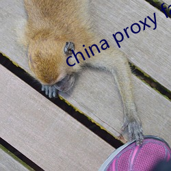 china proxy facebook