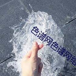 色谱网色谱网络