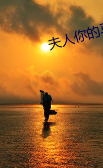 夫人你的马(mǎ)甲掉了