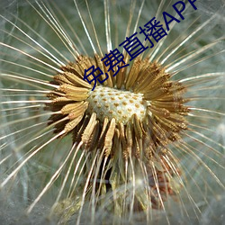 免(免)费直播APP