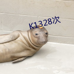 K1328次(cì)