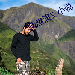 隋唐(唐)演义小说(說)