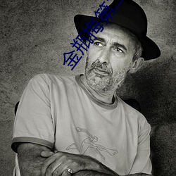 金(jīn)瓶梅第(dì)二集