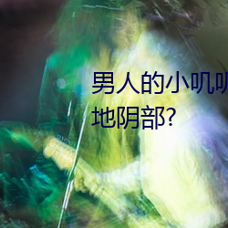 男人的小叽叽可不可以插进女性地阴部?