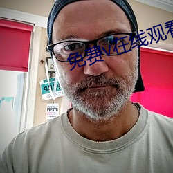 免(miǎn)费v在线观看