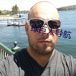 綠巨人導航