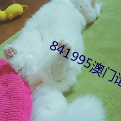 841995澳门论坛资料2023