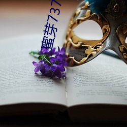蜜芽(yá)737.CNN老狼