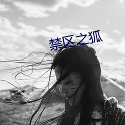 禁区之狐