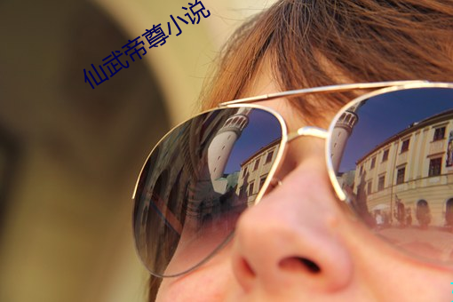 仙武帝尊小說
