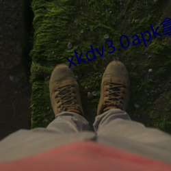 xkdv3.0apk拿走不謝