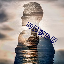 向日葵色板