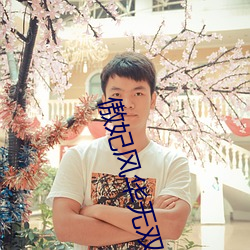 傲妃风华无双