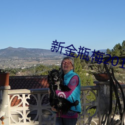 新(新)金瓶梅(梅)2013