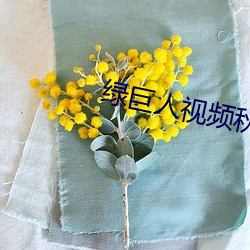 绿巨人视(shì)频(pín)秋葵视(shì)频榴莲(lián)视(shì)频(pín)