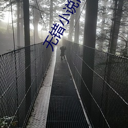 无错小说网官网 （坐失机宜）