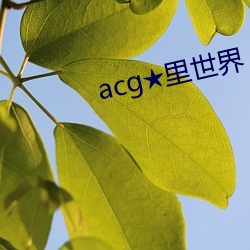 acg★里(裏)世(世)界