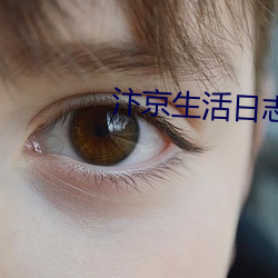 汴(汴)京生活日(日)志